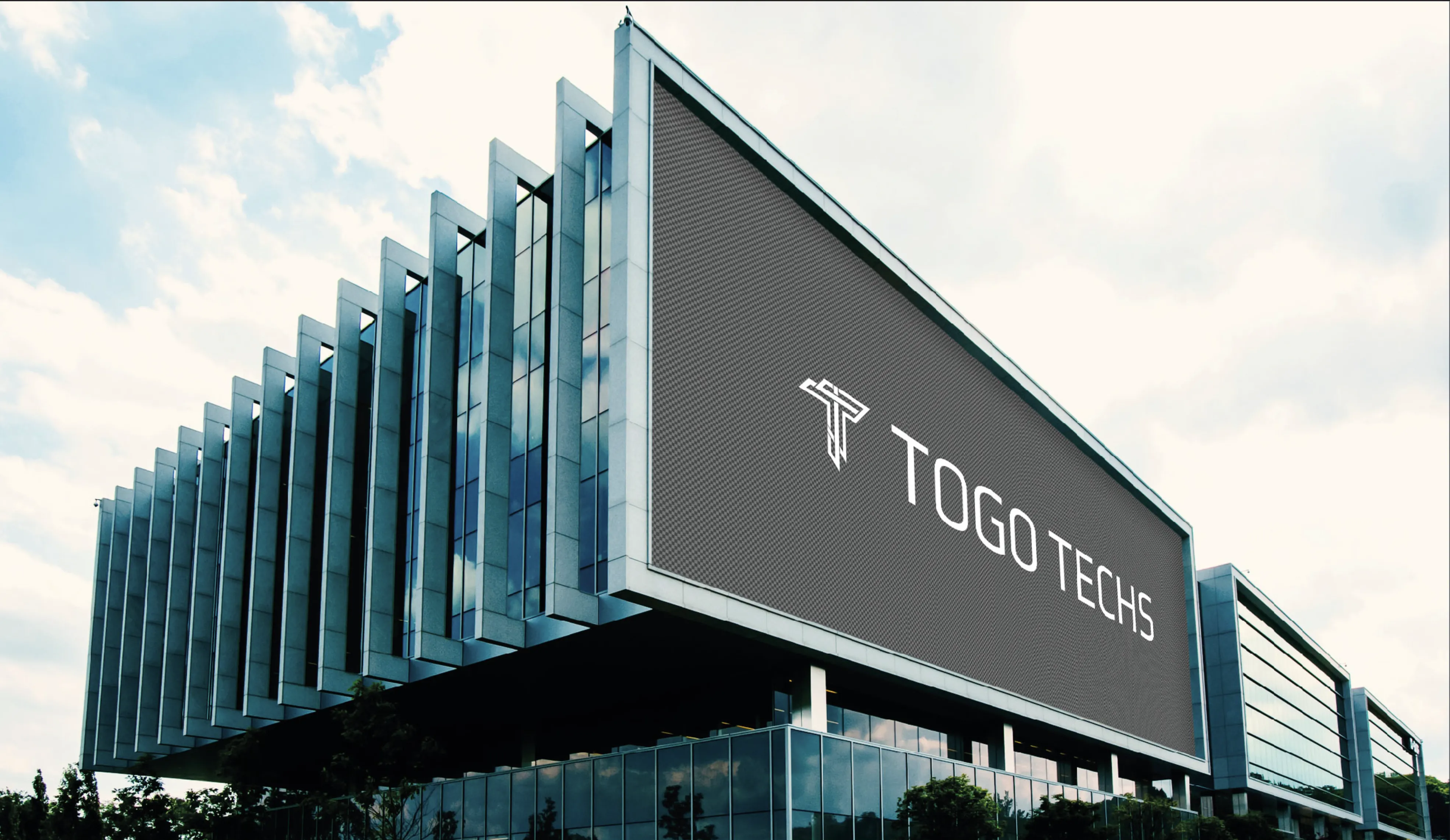 Togo Techs Yazılım Markalaşma Hizmeti